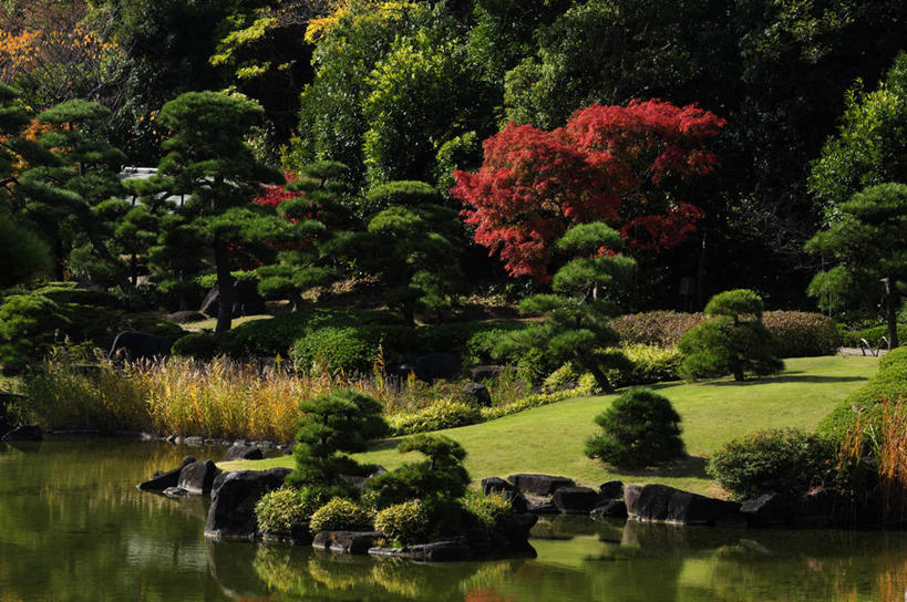 无人,横图,室外,白天,正面,旅游,度假,草地,草坪,美景,树林,植物,日本,亚洲,阴影,波纹,光线,影子,池塘,景观,水池,涟漪,千叶县,娱乐,草,树,树木,绿色,倒影,水纹,阳光,自然,波浪,享受,休闲,景色,放松,生长,成长,倒映,自然风光,东亚,本州,关东地方,本州岛,日本国,水晕,千叶,反照,彩图,幕张国际城