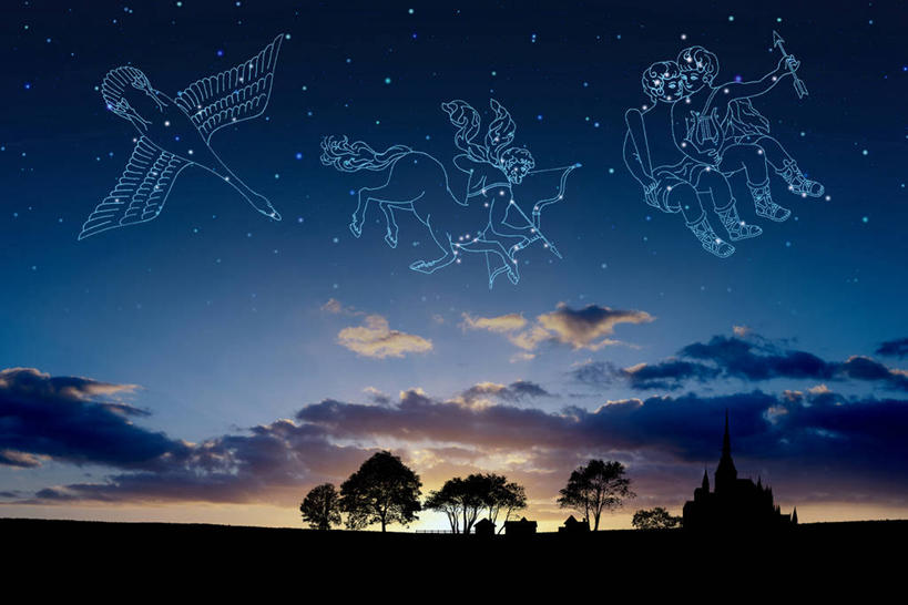 无人,横图,室内,白天,正面,探险,智慧,神秘,数码,宇宙,科技,日落,植物,阴影,科学,太空,网络,星球,晚霞,霞光,星云,落日,花心,高光,几何,计算机图形,合成,树,树木,绿色,自然,黄昏,彩霞,交际,探索,射手座,星系,星座,生长,成长,发现,电脑合成图,数码合成图,天体,坚强,敏捷,思维,合成图,灵活,占卜,星体,天文学,外太空,写实,具体,具象,人马座,多情,慷慨,善变,双子座,坦诚,圆滑,夕照,薄暮,孤独,冷酷,伶俐,夕阳,沟通,彩图,傍晚,天鹅座纤维星云,斜阳