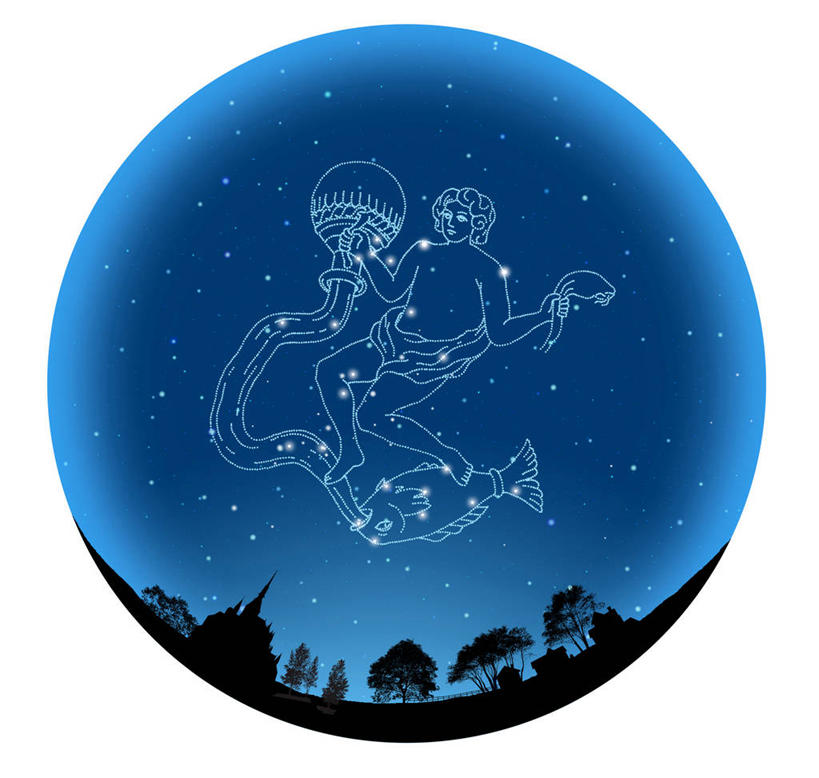 无人,横图,室内,夜晚,白色背景,正面,探险,智慧,神秘,数码,宇宙,科技,草地,草坪,树林,植物,阴影,科学,太空,网络,星星,高光,几何,计算机图形,合成,草,树,树木,绿色,天空,自然,天,独立,探索,星座,生长,成长,发现,电脑合成图,数码合成图,恒星,天体,合成图,占卜,天文学,外太空,写实,具体,具象,宝瓶座,冷静,水瓶座,彩图