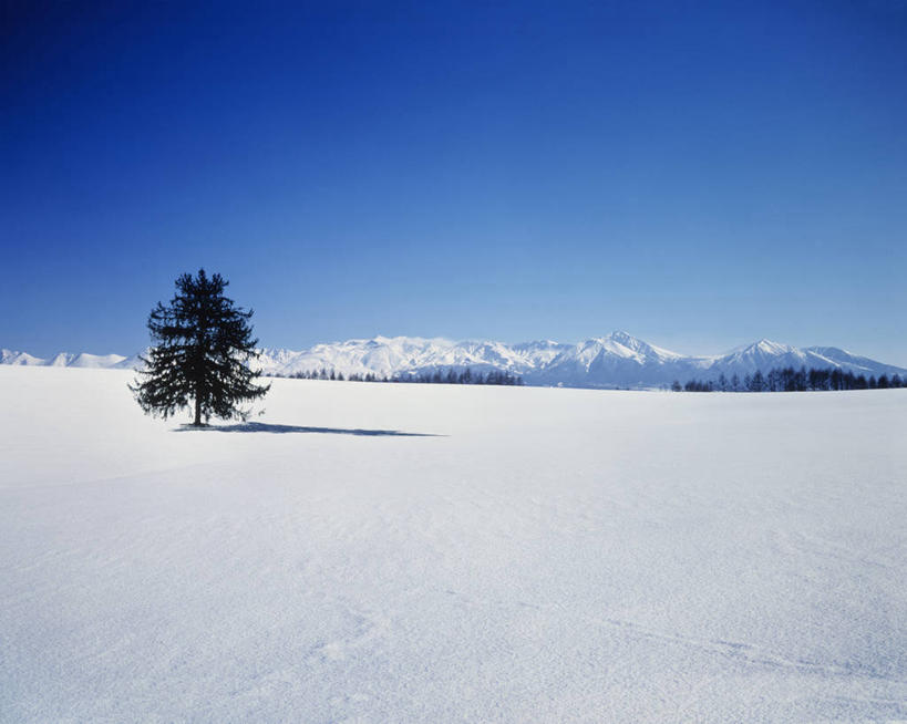 无人,横图,室外,白天,正面,旅游,度假,美景,山,雪,雪山,植物,大雪,北海道,日本,亚洲,一棵,阴影,光线,影子,冰,积雪,景观,山峰,雪景,云,云朵,冬季,冬天,山峦,云彩,娱乐,树,树木,蓝色,绿色,白云,蓝天,天空,阳光,自然,天,享受,休闲,景色,放松,寒冷,生长,晴朗,成长,冰冷,自然风光,东亚,日本国,北海道地方,北海道岛,严寒,冰凉,酷寒,凛冽,凛凛,极冷,晴空,彩图,足寄郡,带广,带广市,十胜支厅,足寄町