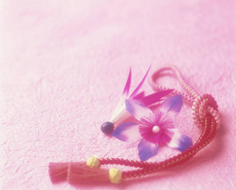 无人,横图,俯视,室内,特写,白天,锻炼,运动,静物,阴影,粉色背景,节日,庆祝,反射,影子,文化,运动器械,粉色,绳子,庆典,健身器械,摄影,影棚,纪念,绳索,毽子,健身器材,毽球,花毽,鸡毛毽,打手毽,毽子板球,体育,彩图,高角度拍摄,影棚拍摄,健身,拍摄,日本新年,运动器材