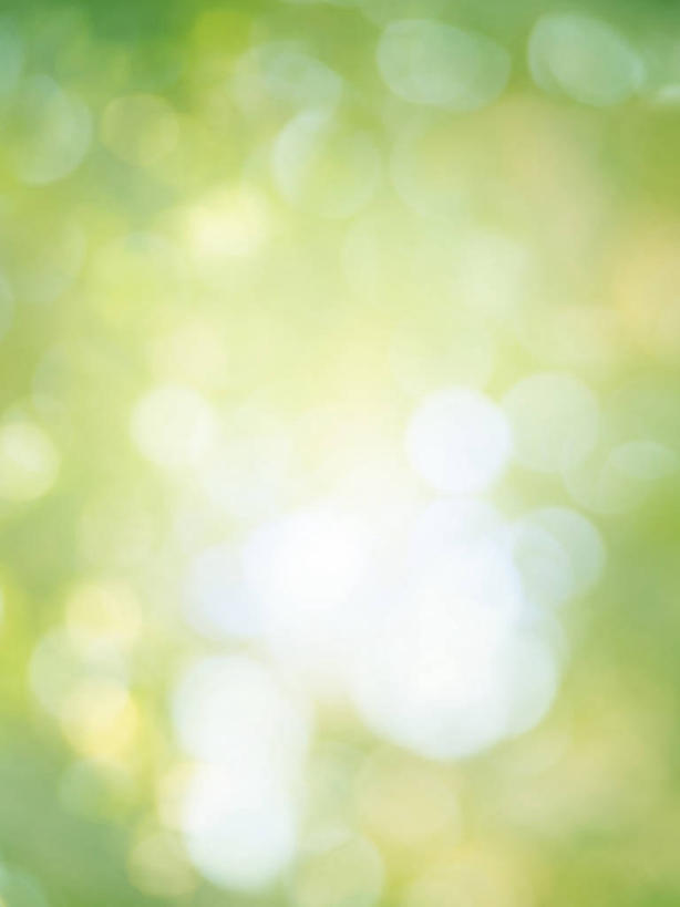 无人,竖图,室内,特写,白天,正面,照明,圣诞节,节日,朦胧,模糊,庆祝,彩灯,灯光,文化,灯,灯具,庆典,摄影,花灯,影棚,纪念,照亮,照明设备,圣诞灯,彩图,影棚拍摄,拍摄