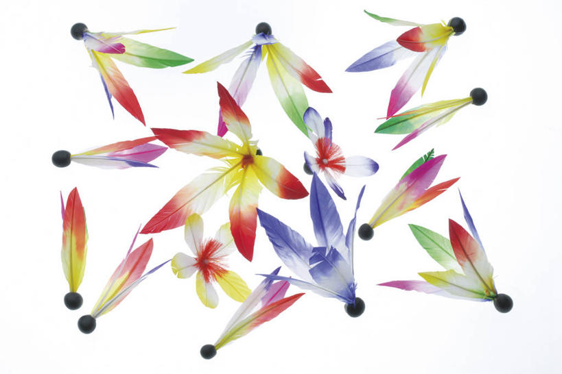 无人,横图,室内,特写,白天,白色背景,正面,锻炼,运动,静物,许多,很多,运动器械,排列,健身器械,摄影,影棚,毽子,健身器材,毽球,花毽,鸡毛毽,打手毽,毽子板球,摆列,体育,彩图,影棚拍摄,健身,拍摄,布列,分列,运动器材