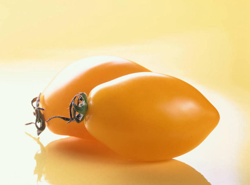 无人,横图,室内,特写,白天,正面,蔬菜,西红柿,小番茄,阴影,黄色背景,新鲜,反射,影子,食品,食物,两个,黄色,摄影,有机食品,绿色食品,影棚,小西红柿,樱桃小番茄,珍珠小番茄,樱桃番茄,圣女果,番茄,彩图,影棚拍摄,拍摄,黄色小番茄