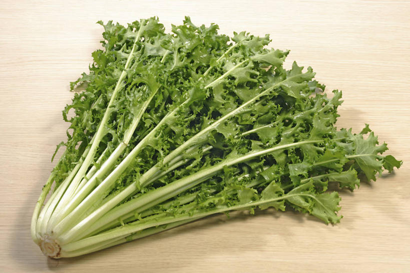 无人,横图,俯视,室内,特写,白天,餐桌,桌子,蔬菜,阴影,新鲜,反射,影子,菊苣,食品,苦菜,食物,一个,有机食品,绿色食品,单个,餐台,苦苣,彩图,高角度拍摄,咖啡草,咖啡萝卜,卡斯尼,明目菜,皱叶苦苣