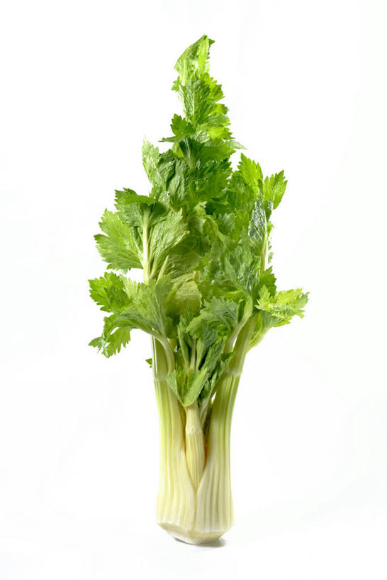 无人,竖图,室内,特写,白天,白色背景,正面,芹菜,蔬菜,新鲜,食品,食物,一个,摄影,有机食品,绿色食品,影棚,单个,药芹,水芹,旱芹,彩图,影棚拍摄,拍摄