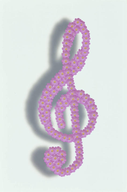 无人,竖图,室内,特写,白天,白色背景,正面,阴影,反射,影子,音乐,一个,粉色,摄影,影棚,单个,节拍,乐符,音符,符头,符干,符尾,乐章,彩图,影棚拍摄,拍摄