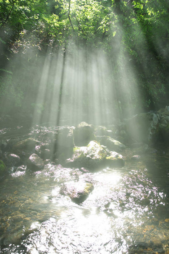 无人,竖图,室外,白天,正面,旅游,度假,河流,美景,树林,水,植物,日本,亚洲,阴影,梦幻,发光,光束,光线,影子,河水,景观,水流,光亮,娱乐,树,树木,绿色,阳光,自然,享受,休闲,景色,放松,生长,成长,未来,发亮,自然风光,东亚,憧憬,本州,本州岛,日本国,东北地方,山形,山形县,彩图,东田川郡,庄内町