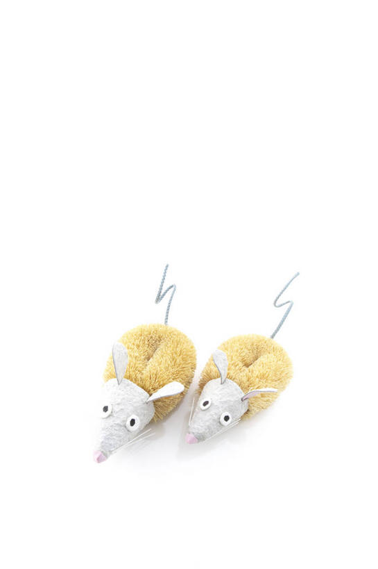 无人,竖图,俯视,室内,特写,白天,白色背景,野生动物,老鼠,静物,阴影,反射,细菌,工具,影子,文化,传统,十二生肖,两个,动物,刷子,属相,摄影,生肖,影棚,清洁用具,病菌,传染,四害,兽历,耗子,彩图,高角度拍摄,影棚拍摄,拍摄