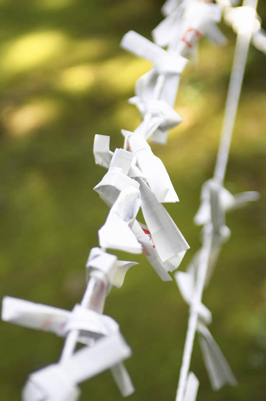 无人,竖图,室外,特写,白天,正面,草地,草坪,植物,阴影,辟邪,朦胧,模糊,光线,影子,文化,草,绿色,阳光,绳子,祈祷,健康,许愿,绳索,祈求,护身符,驱邪,护符,保佑,庇佑,御守,平安,彩图