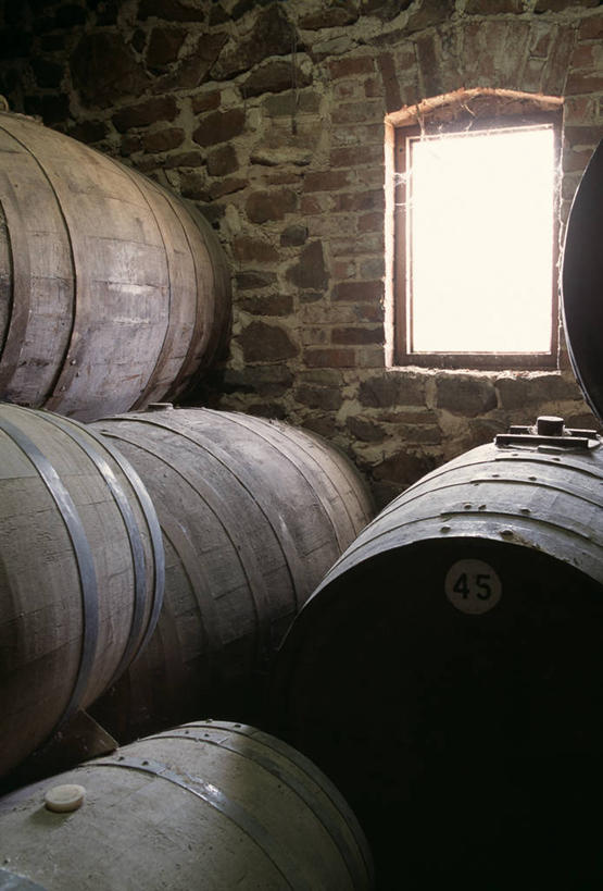 葡萄酒,无人,竖图,室内,白天,正面,建材,窗户,建筑,木制,材料,木桶,桶,砖,砖块,墙,酒类,酒窖,玻璃窗,墙壁,墙面,酒,饮料,木制品,容器,砖头,建造,储藏,储存,石料,彩图,砌墙砖,酒库,贮存