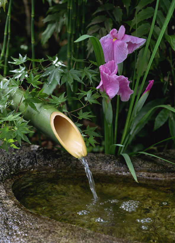 无人,竖图,室外,特写,白天,正面,爱情,友谊,纯洁,花海,花圃,美景,植物,喷泉,竹子,叶子,阴影,盛开,光线,影子,景观,鸢尾花,花蕾,文化,花,花瓣,花朵,花卉,鲜花,绿色,紫色,阳光,自然,花丛,花束,花田,花苞,花蕊,品味,景色,高雅,鸢尾,自然风光,水景,紫蝴蝶,蓝蝴蝶,扁竹花,美观,奉献,质朴,正直,日本鸢尾,担当,设计,竹,彩图,爱丽丝,爱丽丝花,奋进,操守,四君子,岁寒三友,性坚,虚怀,虚心,善群,卓尔