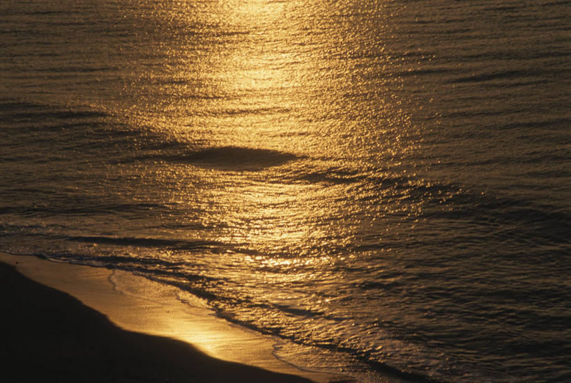 无人,横图,俯视,室外,白天,旅游,度假,海浪,海洋,美景,日落,沙滩,神奈川,日本,亚洲,阴影,波纹,光线,沙子,影子,海岸,景观,浪花,晚霞,霞光,落日,涟漪,沙地,神奈川县,背光,娱乐,倒影,水纹,阳光,自然,海水,黄昏,波浪,享受,休闲,景色,彩霞,放松,倒映,自然风光,逆光,海景,东亚,本州,关东地方,本州岛,日本国,水晕,夕照,反照,薄暮,大海,风浪,海,海水的波动,海滩,近岸浪,涌浪,夕阳,彩图,高角度拍摄,傍晚,三浦半岛,斜阳