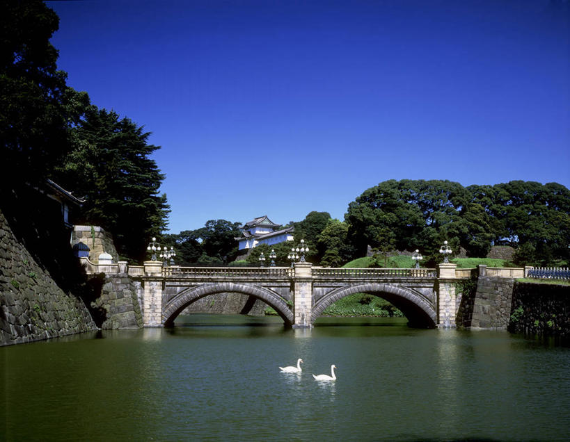 游泳,无人,横图,室外,白天,侧面,旅游,度假,河流,美景,水,植物,桥梁,鸟,野生动物,天鹅,东京,日本,亚洲,阴影,波纹,光线,鸟类,影子,河水,景观,水流,桥,涟漪,注视,娱乐,石桥,拱桥,树,树木,蓝色,绿色,倒影,蓝天,水纹,天空,阳光,自然,动物,波浪,天,观察,看,两只,享受,休闲,景色,放松,可爱,千代田区,拱形,生长,晴朗,成长,观看,人行桥,石拱桥,察看,倒映,关注,自然风光,东亚,本州,万里无云,关东地方,本州岛,日本国,东京都,二重桥,皇居二重桥,眼镜桥,水晕,泅水,反照,拍浮,皇居,晴空,晴空万里,鹄,彩图,全身