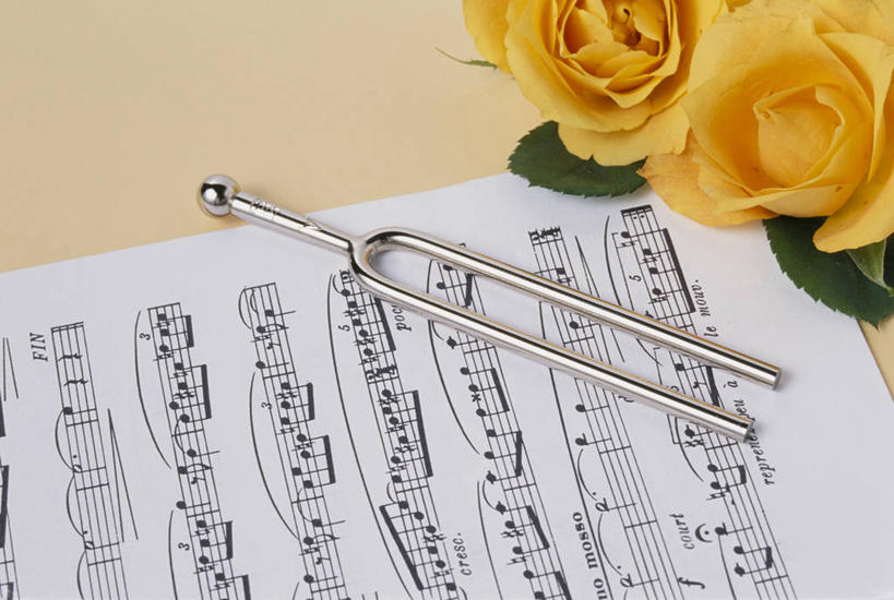 无人,横图,俯视,室内,特写,白天,爱情,幸福,纯洁,热情,桌面,桌子,玫瑰,书籍,阴影,盛开,反射,音叉,影子,玫瑰花,乐谱,五线谱,浪漫,音乐,花蕾,黄玫瑰,花,花瓣,花朵,鲜花,两朵,一个,黄色,花苞,花蕊,温暖,温馨,恩爱,单个,和睦,调音,节拍,音符,感动,频率,符头,符干,符尾,乐章,尊敬,天真,刺玫花,徘徊花,彩图,高角度拍摄,Y形,发声器,融洽