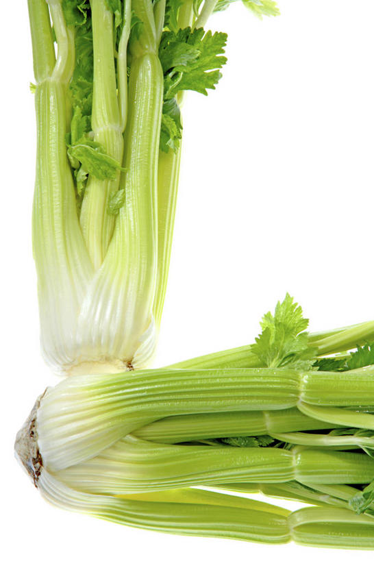 无人,竖图,俯视,室内,特写,白天,白色背景,芹菜,蔬菜,新鲜,食品,食物,两个,摄影,有机食品,绿色食品,影棚,药芹,水芹,旱芹,彩图,高角度拍摄,影棚拍摄,拍摄