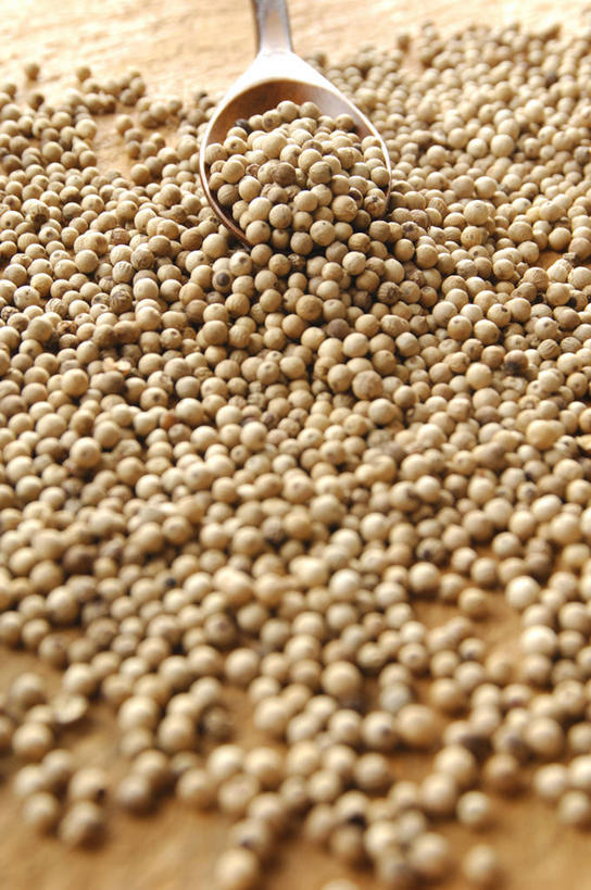 无人,竖图,俯视,室内,特写,白天,餐桌,桌子,一把,一堆,许多,阴影,堆叠,堆积,朦胧,模糊,反射,影子,勺子,调料,调味,香料,佐料,调味品,很多,调味料,调羹,汤匙,餐台,堆,白胡椒,配料,作料,胡椒,彩图,高角度拍摄