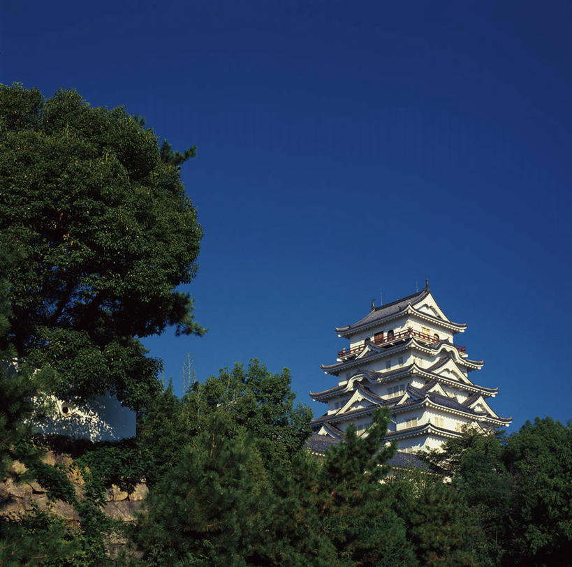 无人,横图,室外,白天,仰视,旅游,度假,名胜古迹,树林,植物,标志建筑,地标,建筑,富山县,日本,亚洲,阴影,遗迹,光线,瓦片,影子,堡垒,城堡,屋顶,顶棚,瓦,古迹,文物,娱乐,建设,古建筑,树,树木,蓝色,绿色,蓝天,天空,阳光,自然,天,享受,休闲,旅游胜地,放松,建造,生长,晴朗,成长,要塞,古文明,东亚,屋瓦,本州,万里无云,本州岛,日本国,中部地方,县厅,富山,设防,晴空,晴空万里,彩图,低角度拍摄,富山市,富山城