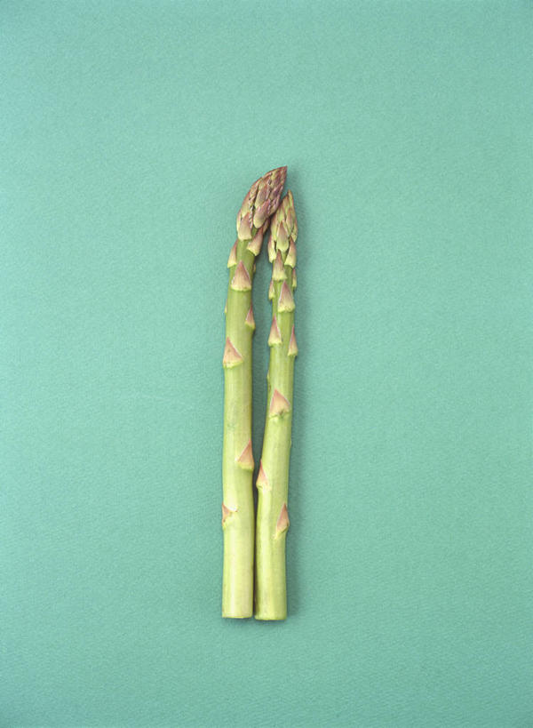 无人,竖图,俯视,室内,特写,白天,芦笋,蔬菜,绿色背景,新鲜,绿芦笋,食品,食物,两个,摄影,有机食品,绿色食品,影棚,猪尾巴,药鸡豆子,石刁柏,蚂蚁杆,龙须菜,狼尾巴根,彩图,高角度拍摄,影棚拍摄,拍摄