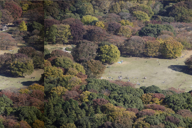 无人,公园,横图,俯视,航拍,室外,白天,旅游,度假,草地,草坪,美景,树林,植物,东京,日本,亚洲,阴影,光线,影子,景观,娱乐,草,树,树木,绿色,阳光,自然,享受,休闲,景色,放松,生长,成长,鸟瞰,自然风光,东亚,本州,关东地方,本州岛,日本国,东京都,涩谷,涉谷,涩谷区,代代木公园,彩图,高角度拍摄