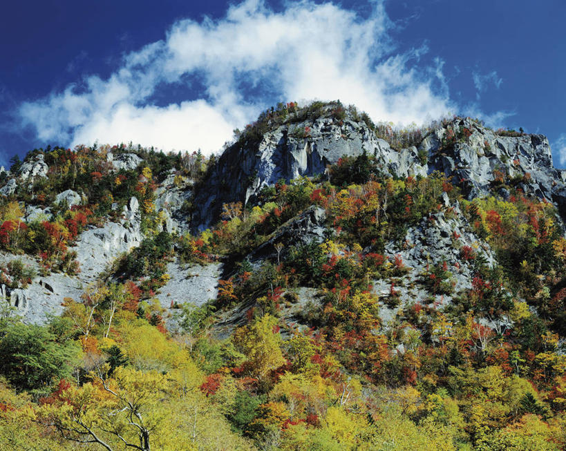 无人,公园,横图,室外,白天,仰视,旅游,度假,美景,森林,山,山脉,树林,植物,北海道,日本,亚洲,阴影,光线,影子,景观,山峰,云,云朵,山峦,云彩,娱乐,树,树木,蓝色,绿色,白云,蓝天,天空,阳光,自然,群山,天,享受,休闲,景色,放松,生长,晴朗,成长,自然风光,东亚,日本国,北海道地方,北海道岛,国立公园,层云峡,晴空,彩图,低角度拍摄,大雪山国立公园