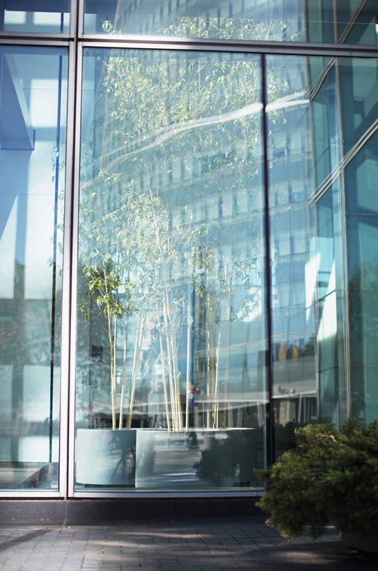 无人,高楼大厦,竖图,室外,白天,正面,办公楼,植物,窗户,落地窗,大厦,建筑,摩天大楼,写字楼,阴影,光线,盆栽,影子,盆景,玻璃窗,绿色,阳光,自然,楼宇,商务楼,生长,成长,彩图,大楼,高层建筑,高楼,摩天楼