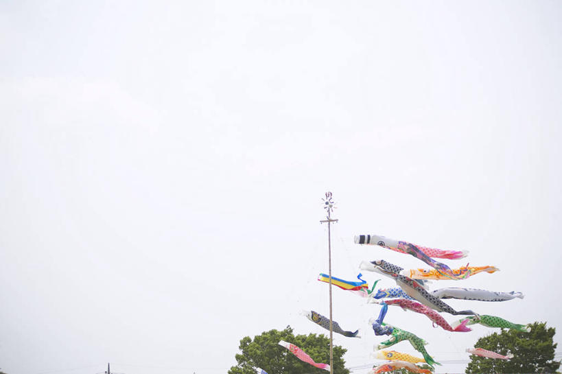 无人,横图,室外,白天,仰视,度假,美景,植物,城市风光,城市,旗帜,日本,许多,阴影,节日,庆祝,光线,鲤鱼旗,影子,景观,很多,文化,娱乐,旗子,树,树木,排列,绿色,天空,阳光,自然,天,祈福,庆典,享受,休闲,景色,放松,生长,成长,纪念,祈求,旌旗,旗号,摆列,鲤鱼节,男孩节,日本男孩节,子供之日,鲤帜,彩图,低角度拍摄,布列,分列