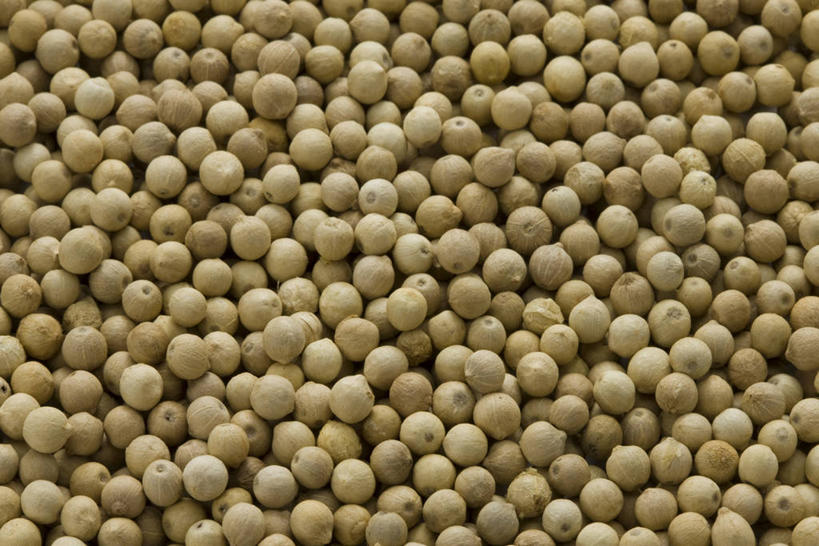 无人,横图,俯视,室内,特写,白天,一堆,许多,阴影,堆叠,堆积,反射,影子,调料,调味,香料,佐料,调味品,很多,调味料,堆,白胡椒,配料,作料,胡椒,彩图,高角度拍摄,全画面,全框架,全帧,全画幅