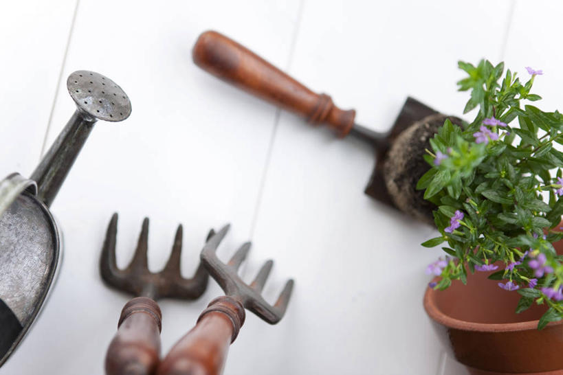 无人,横图,俯视,室内,特写,白天,植物,地板,金属制品,阴影,反射,金属,叉子,铲子,工具,壶,盆栽,影子,盆景,地面,洒水壶,木地板,水壶,两个,一个,绿色,自然,生长,单个,成长,农具,浇水壶,耕具,彩图,高角度拍摄,干草叉