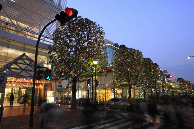 东方人,走,横图,室外,夜晚,正面,度假,安全,美景,植物,城市风光,城市,道路,路,路灯,人行横道,夜景,车站,照明,东京,日本,亚洲,行人,阴影,服装,朦胧,模糊,光线,影子,景观,红绿灯,人行道,小路,灯光,信号灯,站台,交通,许多人,休闲装,黄种人,娱乐,月台,路人,灯,树,树木,衣服,蓝色,绿色,蓝天,天空,自然,天,一群人,享受,休闲,休闲服,景色,放松,警示,服饰,生长,晴朗,成长,照亮,照明设备,提示,人行横道线,流通,东亚,交通信号灯,本州,万里无云,行人信号灯,关东地方,本州岛,日本国,东京都,过客,男人,男性,年轻男性,年轻女性,女人,女性,亚洲人,晴空,晴空万里,斑马线,步行,散步,走路,半身,彩图,世田谷区,二子玉川站