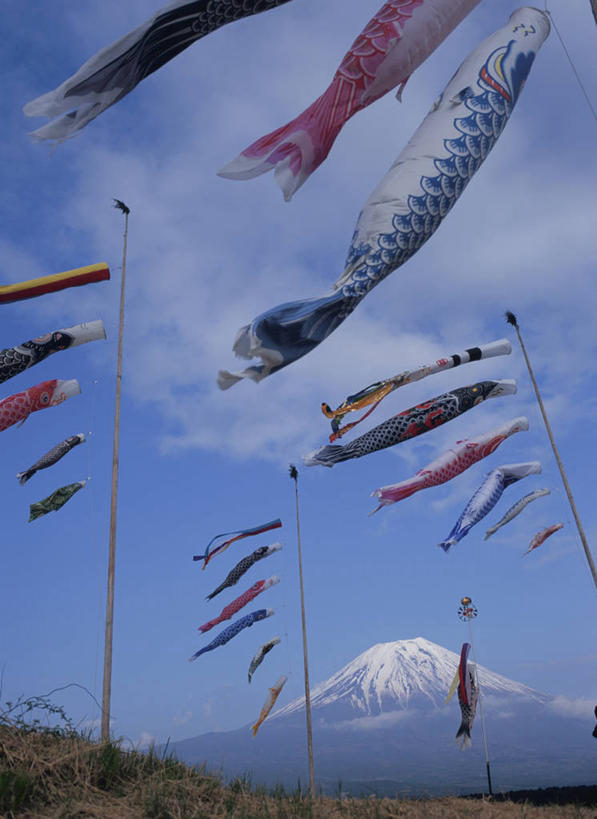 无人,竖图,室外,白天,仰视,旅游,度假,草地,草坪,美景,山,雪,雪山,植物,大雪,旗帜,日本,亚洲,一排,许多,阴影,节日,庆祝,整齐,并列,并排,光线,鲤鱼旗,影子,冰,积雪,景观,山峰,雪景,云,云朵,冬季,冬天,山峦,很多,云彩,文化,娱乐,旗子,草,排列,蓝色,绿色,白云,蓝天,天空,阳光,自然,天,祈福,庆典,享受,休闲,景色,放松,寒冷,晴朗,纪念,祈求,冰冷,队列,自然风光,平行,东亚,本州,本州岛,日本国,中部地方,山梨,山梨县,严寒,冰凉,酷寒,凛冽,凛凛,极冷,旌旗,旗号,鲤鱼节,男孩节,日本男孩节,子供之日,鲤帜,晴空,彩图,低角度拍摄