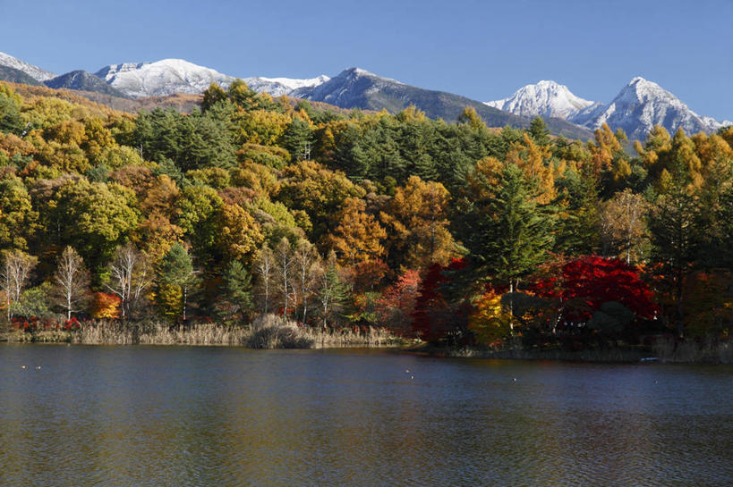 无人,公园,横图,室外,白天,正面,旅游,度假,湖,湖泊,美景,秋季,山,水,雪,雪山,植物,大雪,叶子,长野县,日本,亚洲,阴影,光线,影子,冰,湖面,积雪,景观,山峰,水流,水面,雪景,冬季,冬天,枯叶,落叶,山峦,娱乐,树,树木,红色,蓝色,绿色,蓝天,天空,阳光,自然,湖水,天,享受,休闲,景色,放松,寒冷,生长,晴朗,成长,冰冷,自然风光,东亚,本州,万里无云,本州岛,日本国,中部地方,山梨,山梨县,长野,严寒,冰凉,酷寒,凛冽,凛凛,极冷,蓼科山,叶,叶片,晴空,晴空万里,秋,秋天,彩图,国定公园,诹访富士,八岳中信高原国定公园