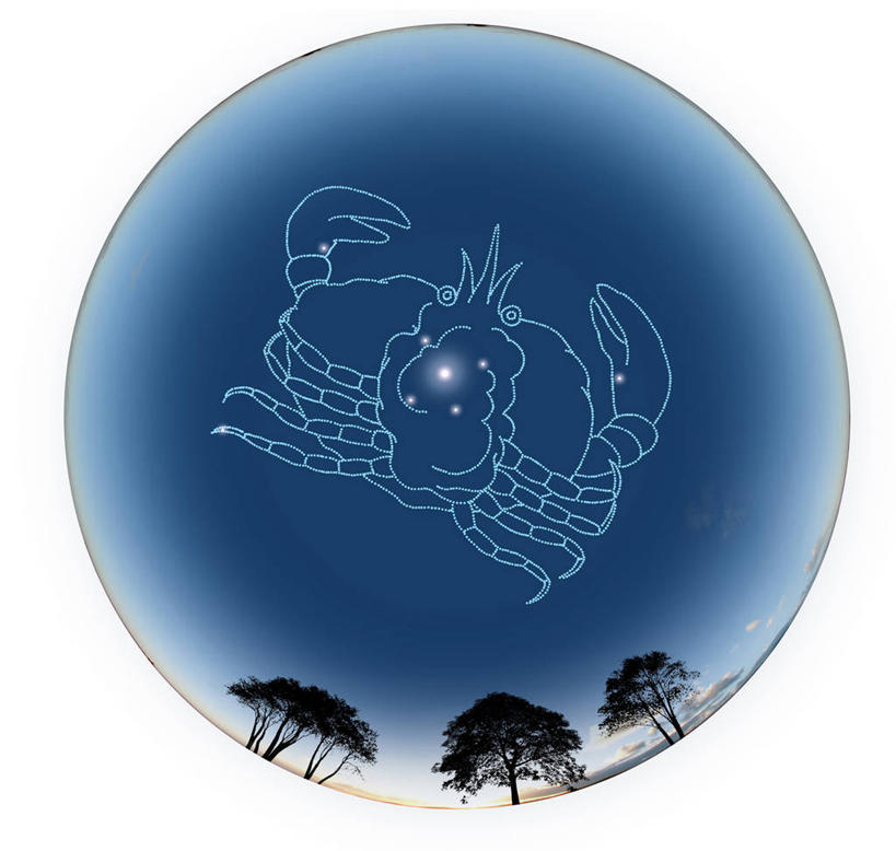 无人,横图,插画,室内,夜晚,白色背景,正面,数码,科技,植物,阴影,网络,圆形,图形,圆,高光,几何,计算机图形,浪漫,合成,图画,画,树,树木,一个,绿色,白色,自然,温暖,星座,生长,单个,成长,电脑合成图,数码合成图,合成图,数学,忧郁,占卜,漫画,写实,具体,具象,多愁善感,巨蟹座,领导型,彩图,几何图形,平面图形