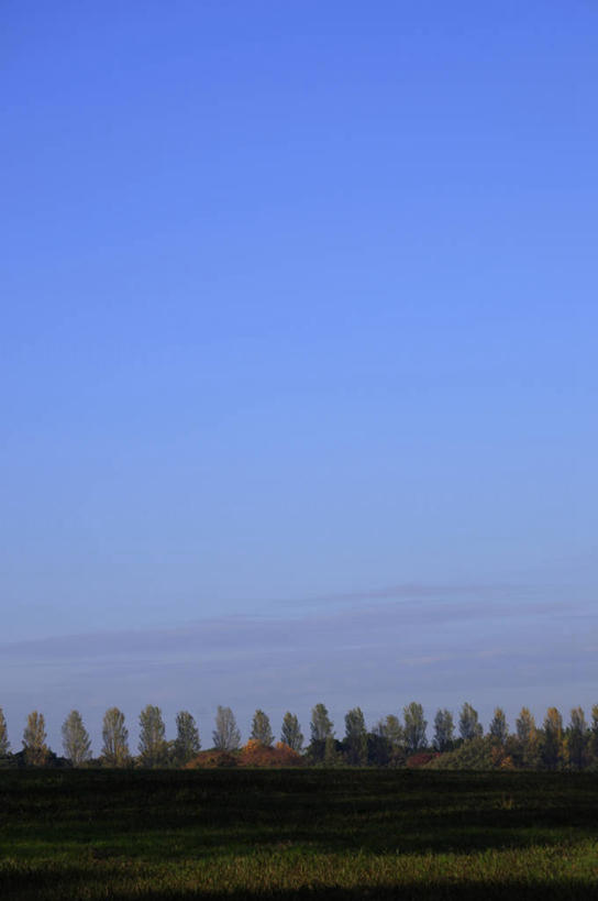 无人,竖图,室外,白天,正面,旅游,度假,草地,草坪,美景,植物,东京,日本,亚洲,一排,许多,阴影,整齐,光线,影子,景观,云,云朵,很多,云彩,娱乐,草,树,树木,排列,蓝色,绿色,白云,蓝天,天空,阳光,自然,天,享受,休闲,景色,放松,生长,晴朗,成长,队列,自然风光,东亚,本州,关东地方,本州岛,日本国,东京都,水元公园,葛饰区,晴空,彩图