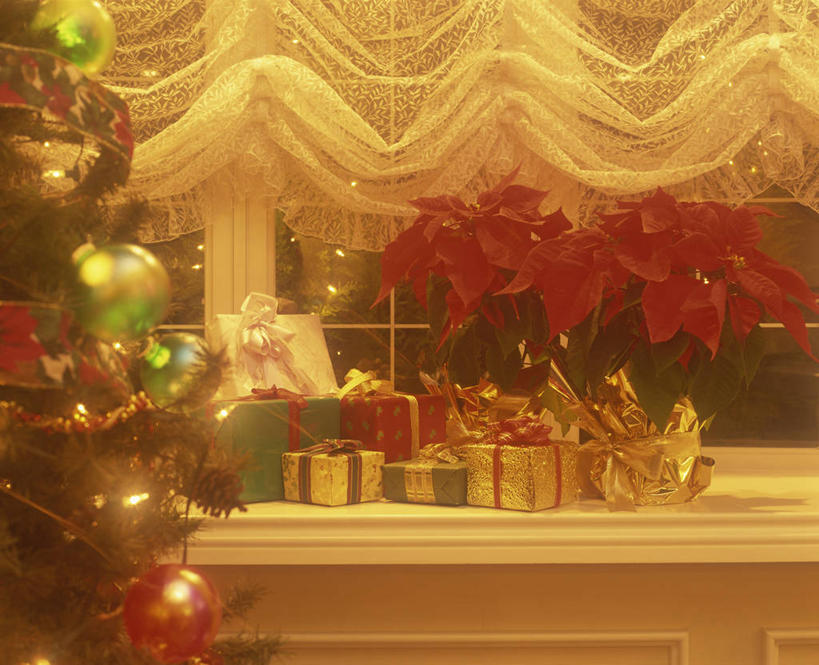 无人,横图,室内,夜晚,正面,植物,窗户,窗帘,礼盒,礼物,照明,圣诞节,一堆,许多,阴影,堆叠,堆积,节日,朦胧,模糊,庆祝,装饰,环绕,缠绕,光线,彩灯,挂饰,丝绸,丝带,影子,纸盒,灯光,圣诞树,缎带,圣诞球,很多,文化,玻璃窗,窗台,绸带,灯,盒子,球,树,树木,绿色,自然,帘子,包装盒,礼品盒,灯具,庆典,球体,遮阳,花灯,礼品,生长,成长,纪念,堆,华丽,修饰,照亮,点缀,照明设备,纠缠,衬托,美观,雅致,雅观,彩图