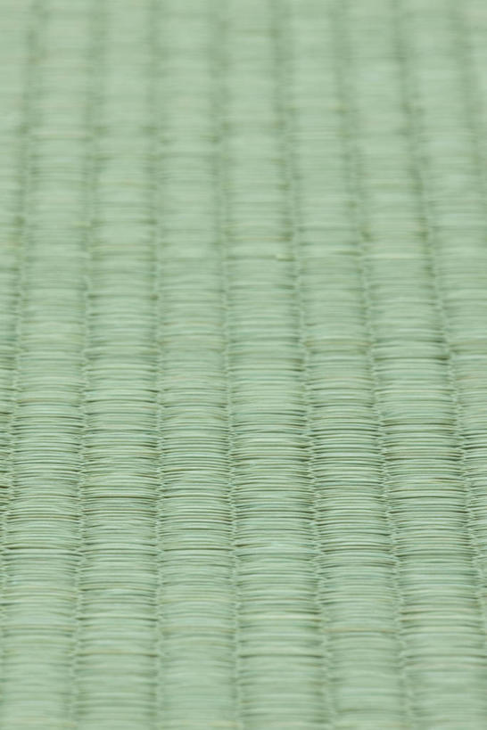 无人,竖图,俯视,室内,特写,白天,静物,阴影,反射,纹路,纹理,影子,塌塌米,榻榻米,绿色,肌理,叠席,彩图,高角度拍摄