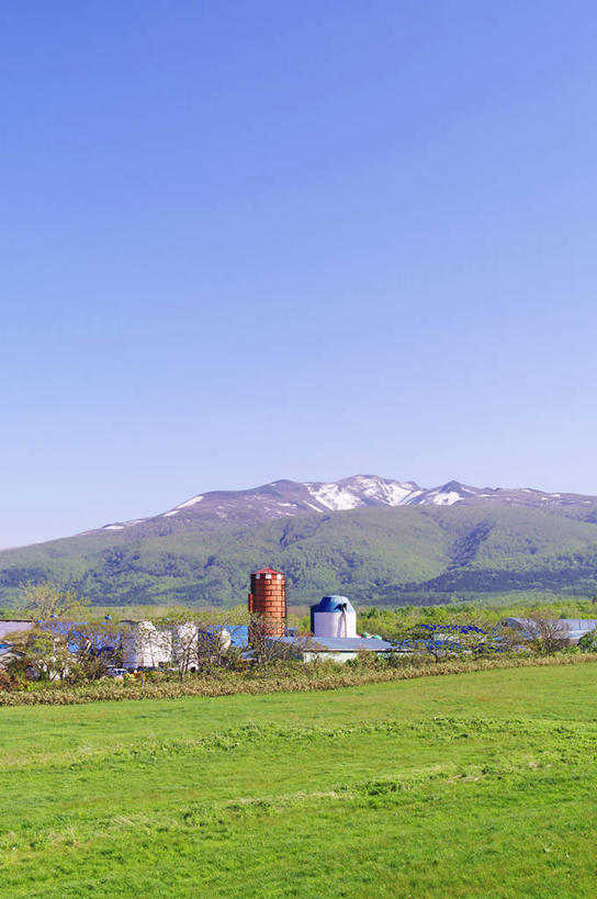 无人,家,竖图,室外,白天,正面,旅游,度假,草地,草坪,美景,山,山脉,植物,北海道,日本,亚洲,阴影,光线,影子,房屋,屋子,景观,山峰,山峦,娱乐,楼房,住宅,草,树,树木,蓝色,绿色,蓝天,天空,阳光,自然,群山,天,享受,休闲,景色,放松,生长,晴朗,成长,自然风光,东亚,万里无云,日本国,北海道地方,北海道岛,晴空,晴空万里,彩图,房子,后志支厅,后志综合振兴局,积丹,积丹半岛,道央