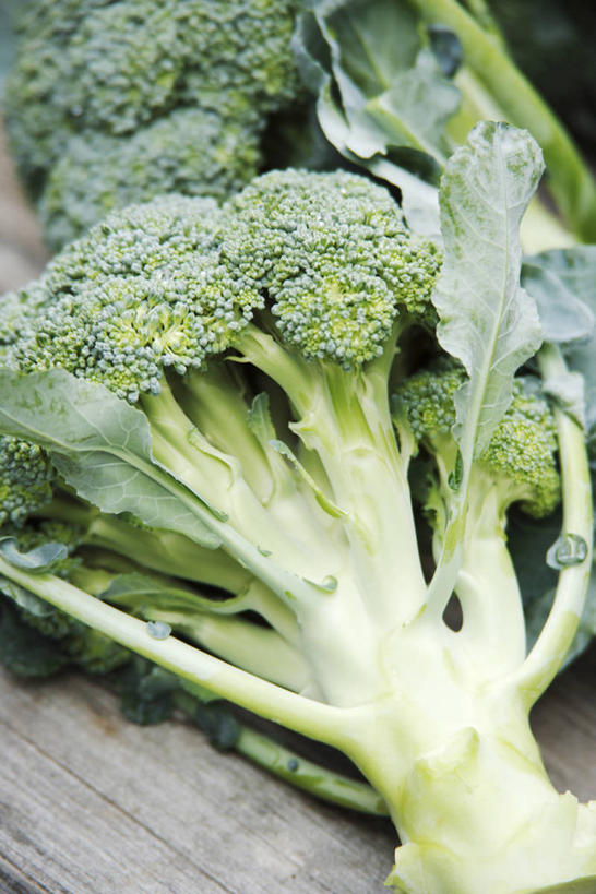 无人,竖图,俯视,室外,特写,白天,蔬菜,阴影,新鲜,光线,影子,西兰花,食品,食物,一个,绿色,阳光,有机食品,绿色食品,单个,甘蓝花,彩图,高角度拍摄,绿菜花,绿花菜,青花菜,蔬菜皇冠