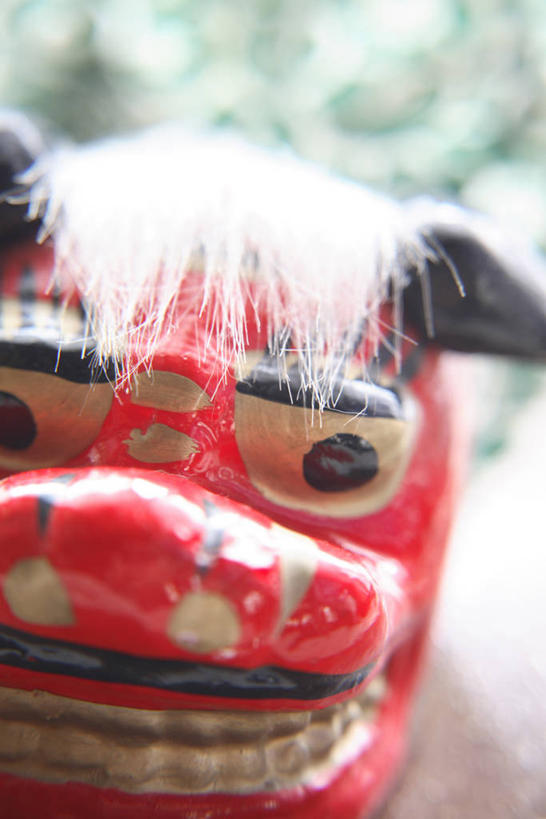 无人,竖图,室内,特写,白天,正面,静物,舞狮,表演,阴影,辟邪,朦胧,模糊,反射,面具,影子,文化,一个,红色,祈祷,祈福,健康,许愿,单个,祈求,舞狮子,驱邪,祛邪,避邪,狮灯,狮子舞,平安,彩图,舞蹈