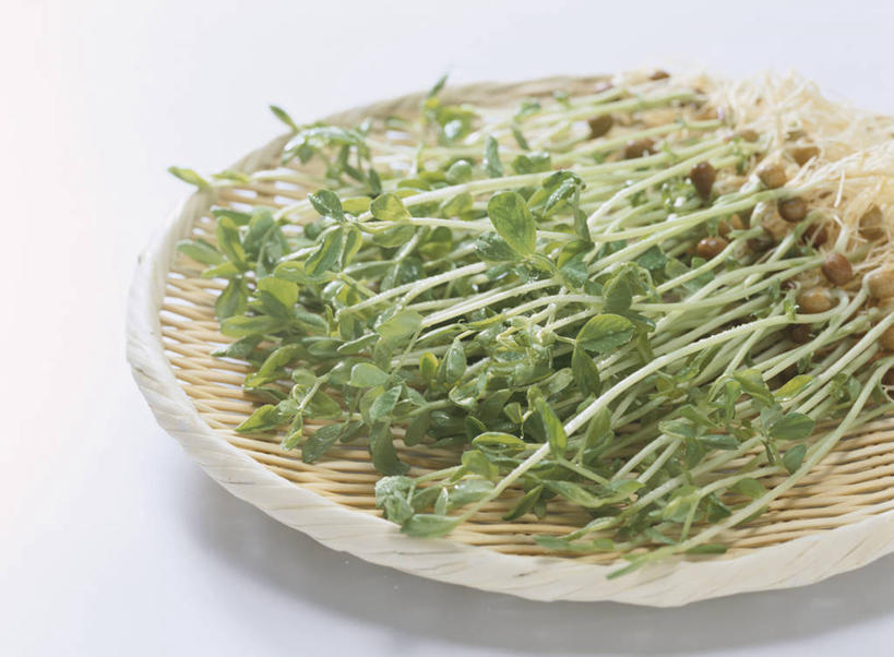 无人,交叉,横图,俯视,室内,特写,白天,白色背景,竹子,蔬菜,一堆,许多,阴影,堆叠,堆积,竹制,新鲜,编织,反射,篮子,影子,食品,很多,豆苗,食物,一个,竹篮,摄影,有机食品,绿色食品,影棚,单个,竹条,堆,交织,竹制品,豌豆苗,豌豆藤,穿插,彩图,高角度拍摄,影棚拍摄,拍摄