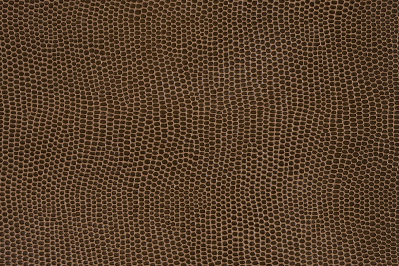 无人,横图,室内,特写,白天,正面,静物,丰富,纹路,纹理,斑点,褐色,成熟,肌理,谦让,随和,彩图