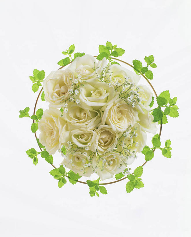 无人,竖图,俯视,室内,特写,白天,白色背景,植物,叶子,阴影,盛开,反射,捧花,手捧花,纹理,影子,绿叶,花蕾,花,花瓣,花朵,鲜花,绿色,白色,花束,花苞,花蕊,一束,嫩叶,摄影,影棚,肌理,婚礼捧花,叶,叶片,叶脉,彩图,高角度拍摄,影棚拍摄,拍摄