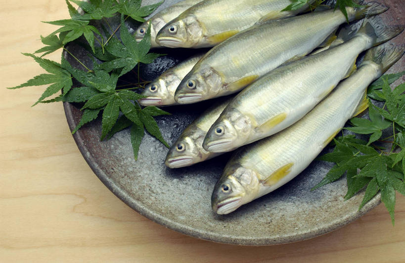 无人,横图,俯视,室内,特写,白天,餐桌,桌子,餐具,叶子,一堆,许多,阴影,堆叠,堆积,反射,木制,鱼,碟子,盘,影子,枫叶,绿叶,香鱼,很多,水产,鱼类,一个,绿色,盘子,木制品,碟,嫩叶,单个,餐台,枫树叶,堆,水生动物,水生物,瓜鱼,香油鱼,叶,叶片,半身,彩图,高角度拍摄,淡水生物,河鲜