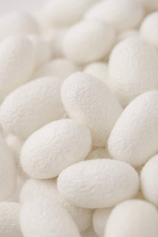 无人,竖图,俯视,室内,特写,白天,白色背景,一堆,许多,阴影,堆叠,堆积,反射,影子,很多,白色,摄影,影棚,堆,蚕茧,家蚕茧,桑蚕茧,彩图,高角度拍摄,全画面,全框架,全帧,影棚拍摄,拍摄,全画幅