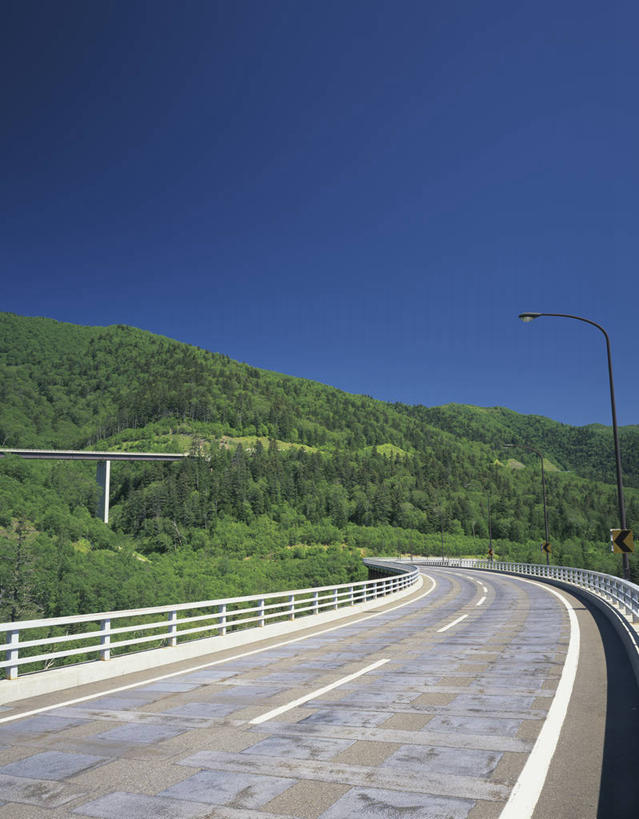 无人,栏杆,竖图,室外,白天,正面,旅游,度假,草地,草坪,美景,植物,道路,路,公路,北海道,日本,亚洲,阴影,曲折,弯曲,光线,影子,景观,围栏,分界线,停车线,交通,娱乐,护栏,草,树,树木,蓝色,绿色,蓝天,天空,阳光,自然,天,享受,休闲,景色,放松,蜿蜒,生长,晴朗,成长,车行道,车行道分界线,自然风光,标线,东亚,车行线,万里无云,日本国,北海道地方,北海道岛,上士幌町,晴空,晴空万里,马路,彩图,河东郡,带广,带广市,十胜支厅