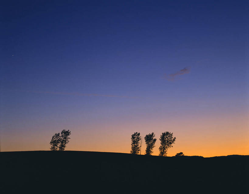 无人,横图,室外,白天,仰视,旅游,度假,美景,日落,植物,景观,晚霞,霞光,落日,四棵,背光,娱乐,树,树木,蓝色,绿色,蓝天,天空,自然,黄昏,天,享受,休闲,景色,彩霞,放松,生长,晴朗,成长,自然风光,逆光,万里无云,夕照,薄暮,晴空,晴空万里,夕阳,彩图,低角度拍摄,傍晚,斜阳