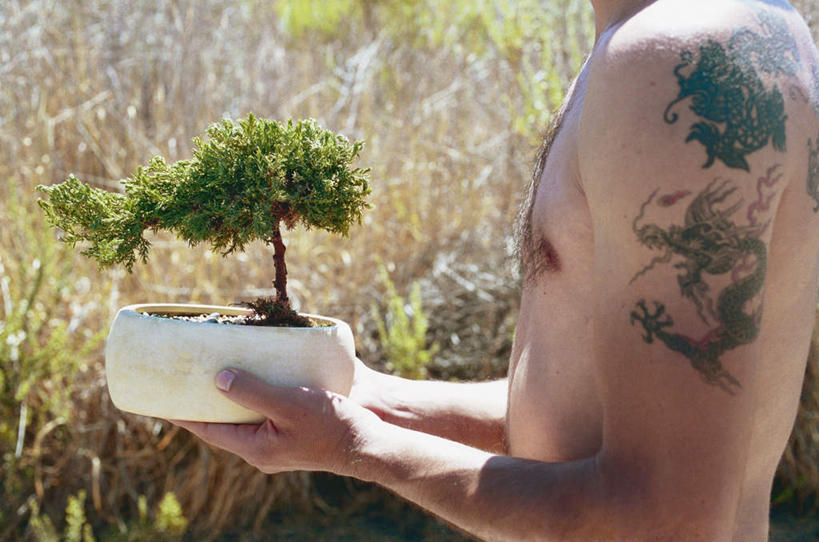 西方人,一个人,站,横图,室外,特写,白天,正面,旅游,度假,时尚,草地,草坪,树林,植物,欧洲,非洲,黑人,欧洲人,仅一个男性,仅一个人,朦胧,模糊,工作,盆栽,拿,拿着,文化,娱乐,纹身,草,树,树木,仅一个年轻男性,站着,享受,休闲,放松,个性,信仰,刺青,裸,追求,想象,文身,勇气,崇拜,张扬,男人,男性,年轻男性,非洲人,端,端着,站立,半身,彩图,上半身