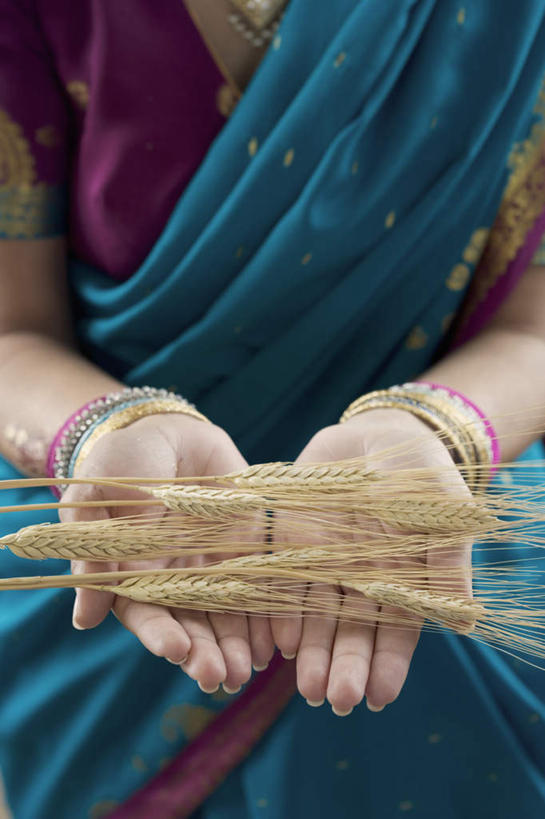 一个人,站,捧,竖图,室内,特写,白天,小麦,亚洲,仅一个年轻女性,仅一个女性,仅一个人,拿,拿着,站着,手镯,麦子,收获,民族服饰,年轻女性,女人,女性,亚洲人,印度人,端,端着,捧着,半身,彩图,传统服装,民俗服