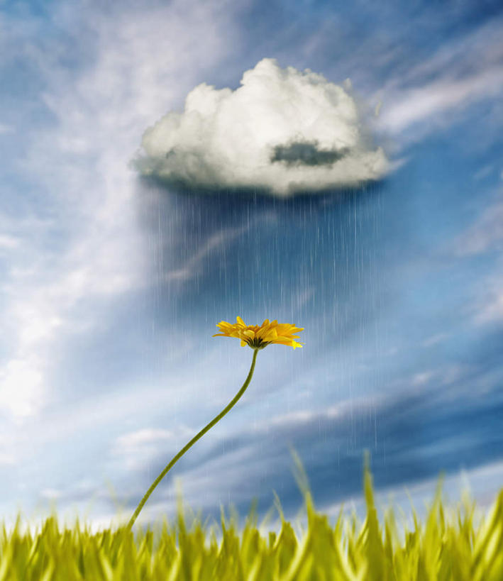 无人,竖图,室外,白天,正面,美景,暴风雨,暴雨,大暴雨,阴影,盛开,光线,影子,景观,乌云,云,云朵,花蕾,云彩,花,花瓣,花朵,鲜花,黄色,蓝色,白云,蓝天,天空,阳光,自然,天,花苞,花蕊,景色,晴朗,自然风光,晴空,彩图