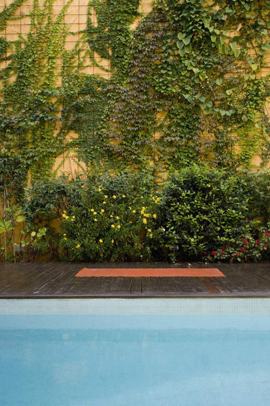 无人,游泳池,竖图,室外,白天,正面,树林,水,植物,地板,毯子,水池,水面,地面,泳池,木地板,树,树木,绿色,自然,瑜伽垫,垫子,生长,成长,瑜伽毯,彩图